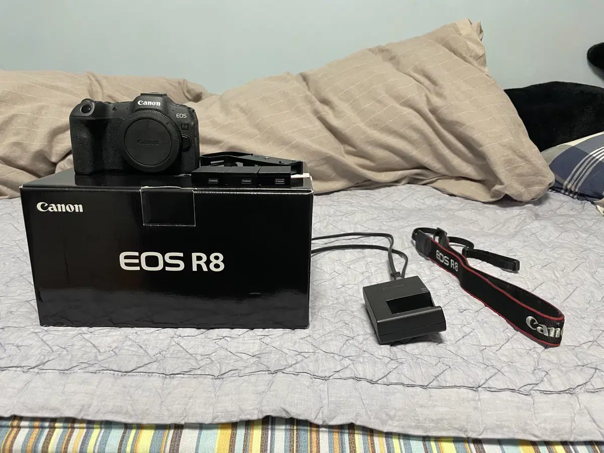 캐논 EOS R8